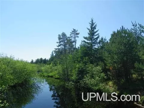6 Ac Wahlstroms, Republic, MI 49879