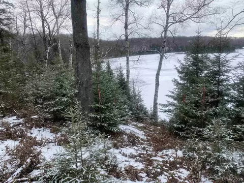 tbd Pomeroy Lk, Marenisco, MI 49947