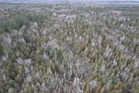 Tbd County Rd Sc, Cornell, MI 49818 photo 8