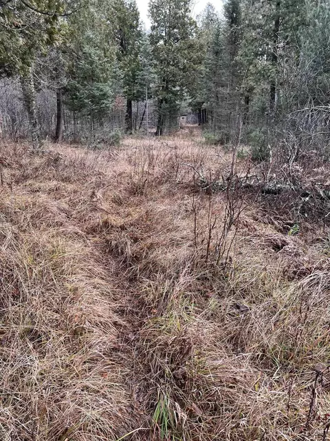 Tbd County Rd Sc, Cornell, MI 49818 photo 24