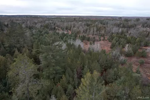 Tbd County Rd Sc, Cornell, MI 49818 photo 9