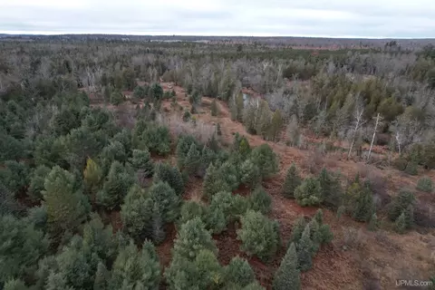 Tbd County Rd Sc, Cornell, MI 49818 photo 10