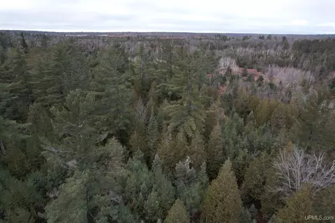 Tbd County Rd Sc, Cornell, MI 49818 photo 30