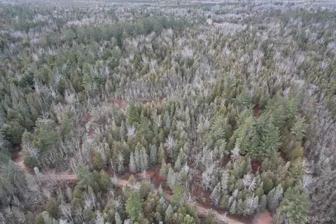 Tbd County Rd Sc, Cornell, MI 49818 photo 7