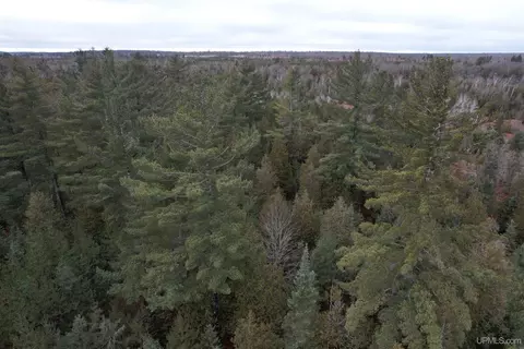 Tbd County Rd Sc, Cornell, MI 49818 photo 31