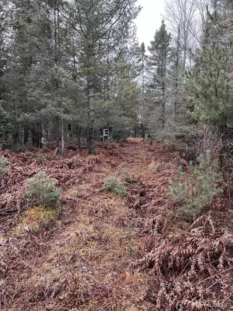 Tbd County Rd Sc, Cornell, MI 49818 photo 20
