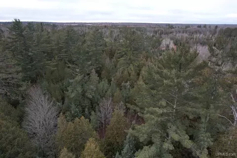 Tbd County Rd Sc, Cornell, MI 49818 photo 29
