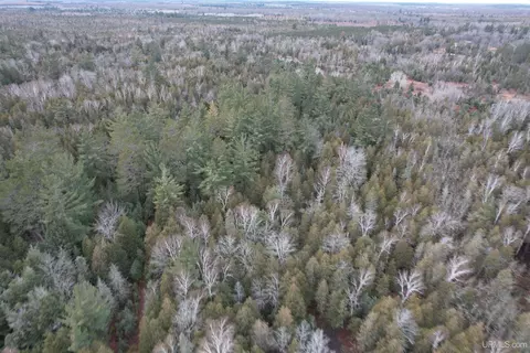 Tbd County Rd Sc, Cornell, MI 49818 photo 25