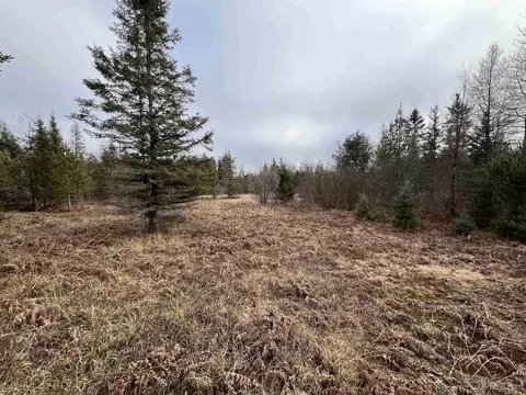 Tbd County Rd Sc, Cornell, MI 49818 photo 15