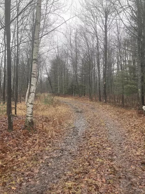 Keystone, Alabaster, MI 48763