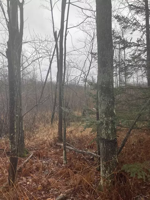 Keystone, Alabaster, MI 48763 photo 5