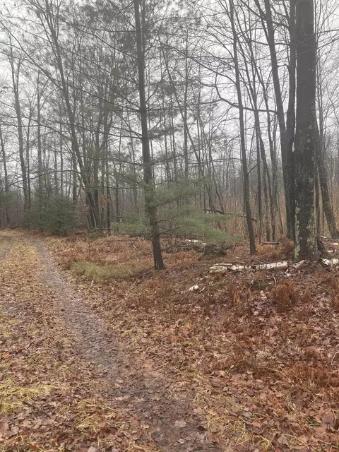Keystone, Alabaster, MI 48763 photo 2