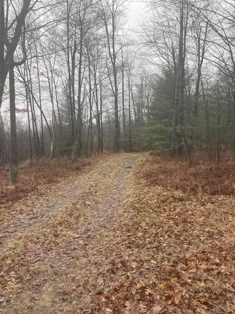 Keystone, Alabaster, MI 48763 photo 7