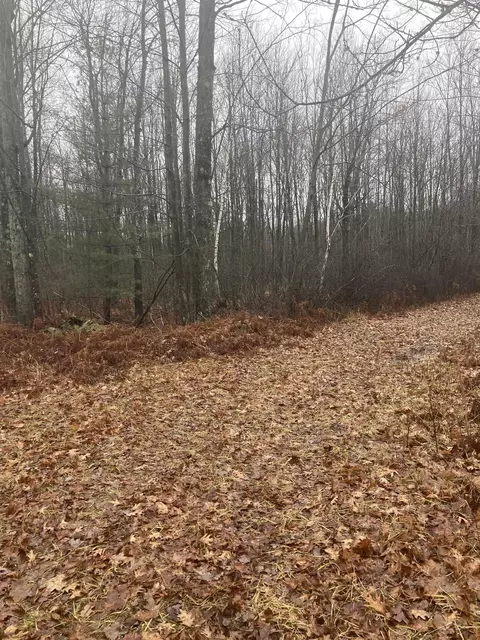Keystone, Alabaster, MI 48763 photo 8