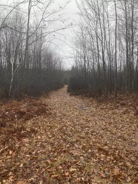 Keystone, Alabaster, MI 48763 photo 4