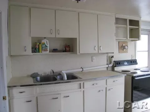 129 Bates, Jackson, MI 49202 photo 29