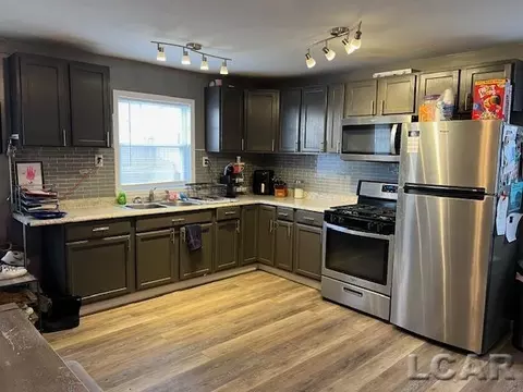 213 Jordan, Adrian, MI 49221 photo 3
