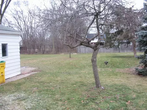 7867 Ruby, Utica, MI 48317 photo 4
