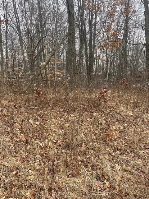 Tbd White Birch Dr, Farwell, MI 48622