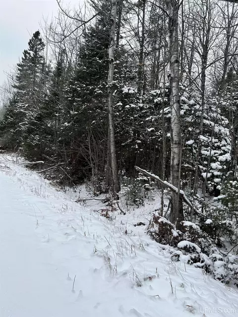 Ladoga Road, Trenary, MI 49841