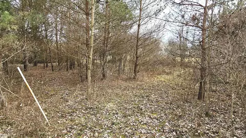 4375 Valencia, Capac, MI 48014 photo 36