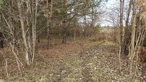 4375 Valencia, Capac, MI 48014 photo 35