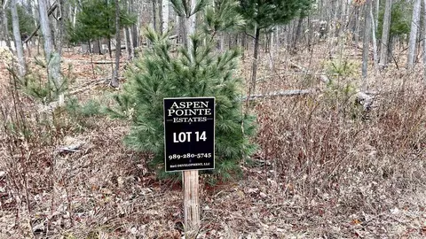Lot 14 Douglas, Midland, MI 48642