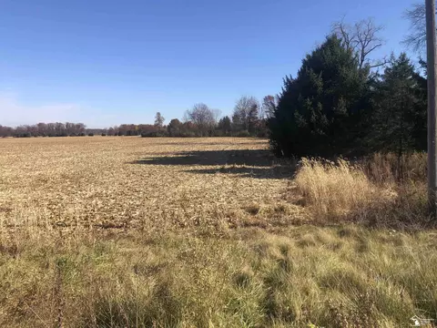 0 Meanwell, Dundee, MI 49270