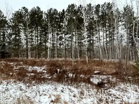 Tbd4 Larson, Atlantic Mine, MI 49905