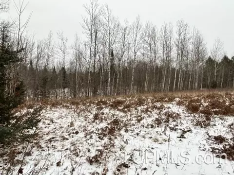 Tbd5 Larson, Atlantic Mine, MI 49905