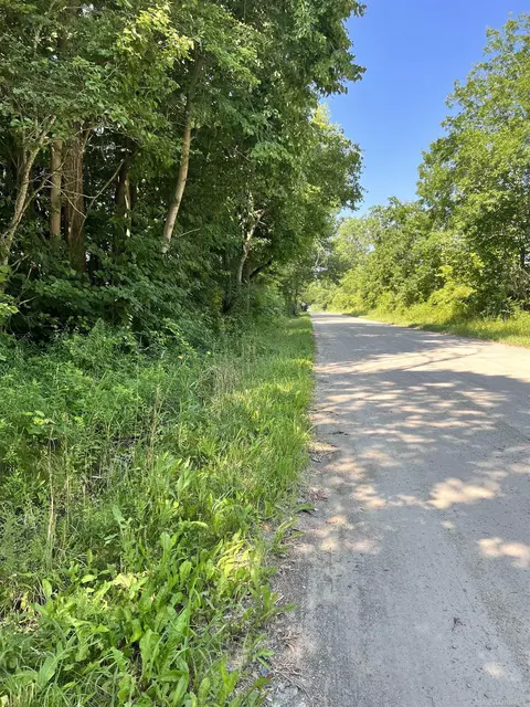 Parcel B Webb, Goodells, MI 48027 photo 3