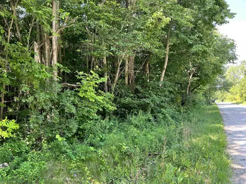 Parcel B Webb, Goodells, MI 48027 photo 6