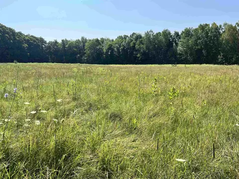 Parcel A Webb, Goodells, MI 48027