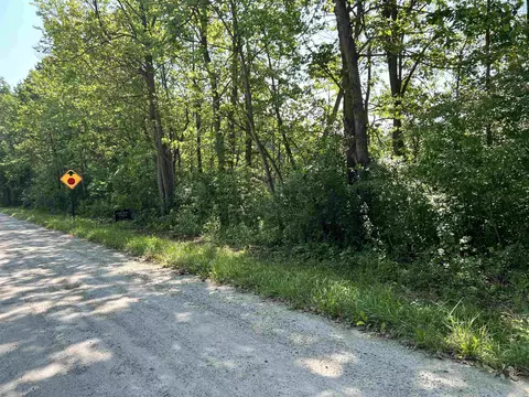 Parcel A Webb, Goodells, MI 48027 photo 3