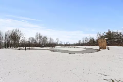4699 Brown, Kenockee, MI 48006 photo 40