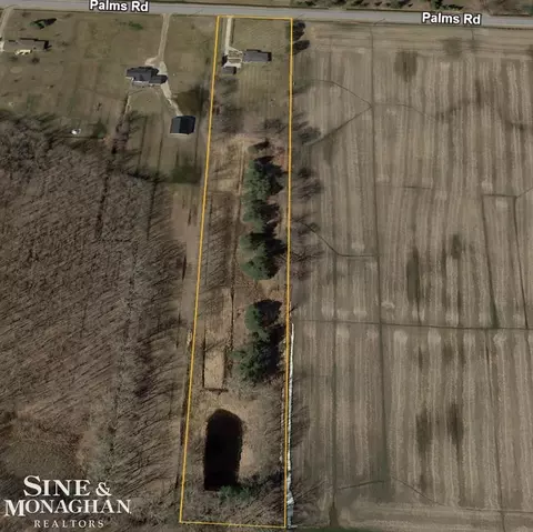 4301 Palms, Casco, MI 48064 photo 30