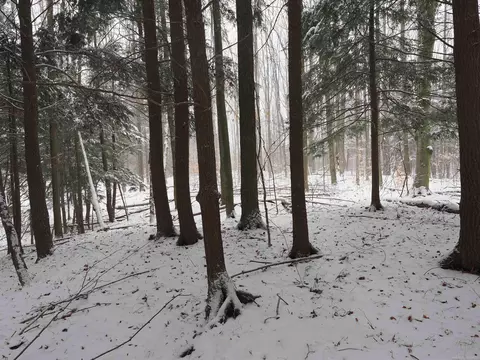 000 W Michigan 32, Atlanta, MI 49709