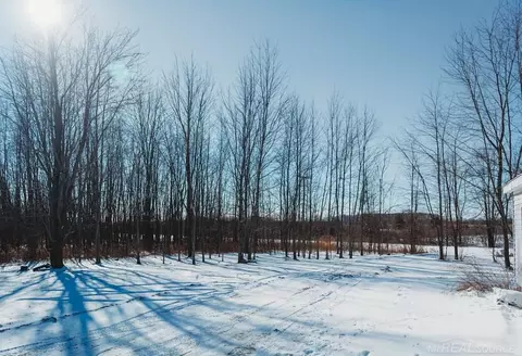 8974 Cribbins, Jeddo, MI 48032 photo 11