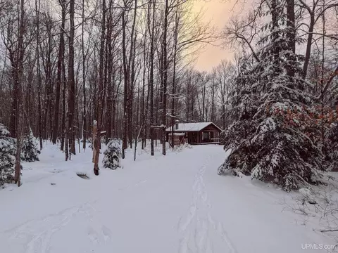 14 W 12 Acres W Us Highway 2, Iron River, MI 49935