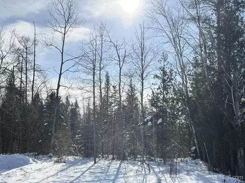Tbd Co Rd 442, Manistique, MI 49854