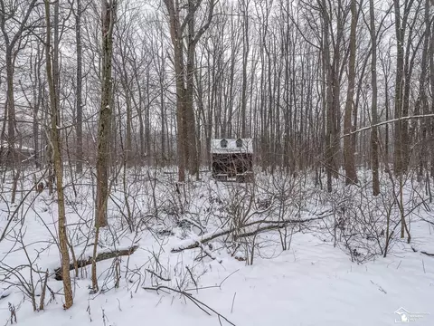 3193 W Temperance, Temperance, MI 48182 photo 32