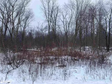 0 Swaffer, Vassar, MI 48768 photo 3