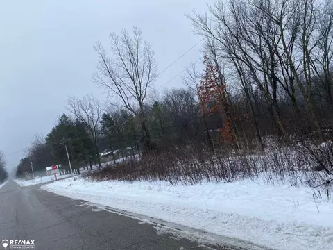 0 Swaffer, Vassar, MI 48768 photo 2