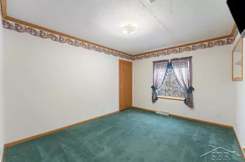 1455 SE County Line, Shepherd, MI 48883 photo 19
