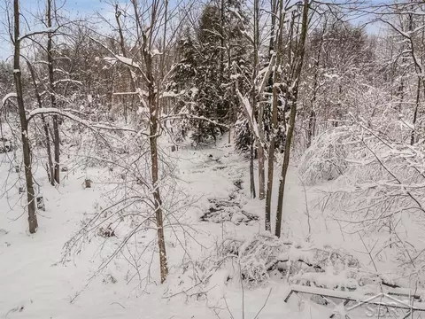 1455 SE County Line, Shepherd, MI 48883 photo 26