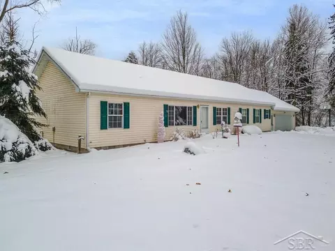 1455 SE County Line, Shepherd, MI 48883 photo 22