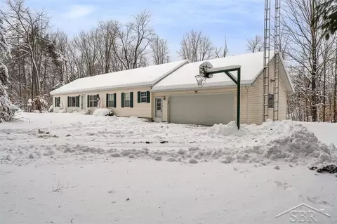 1455 SE County Line, Shepherd, MI 48883