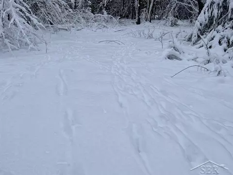 1455 SE County Line, Shepherd, MI 48883 photo 32