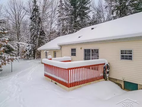 1455 SE County Line, Shepherd, MI 48883 photo 21