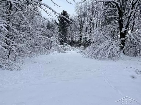 1455 SE County Line, Shepherd, MI 48883 photo 31